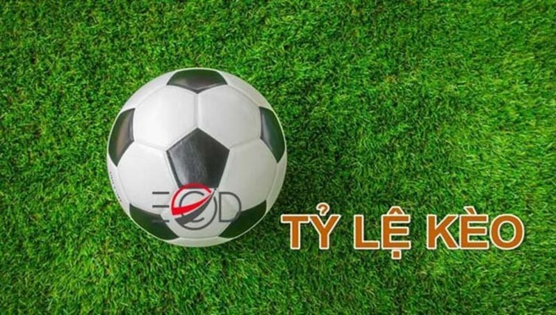 Ty le 888 - Trang web soi kèo bóng đá đỉnh nhất hiện nay
